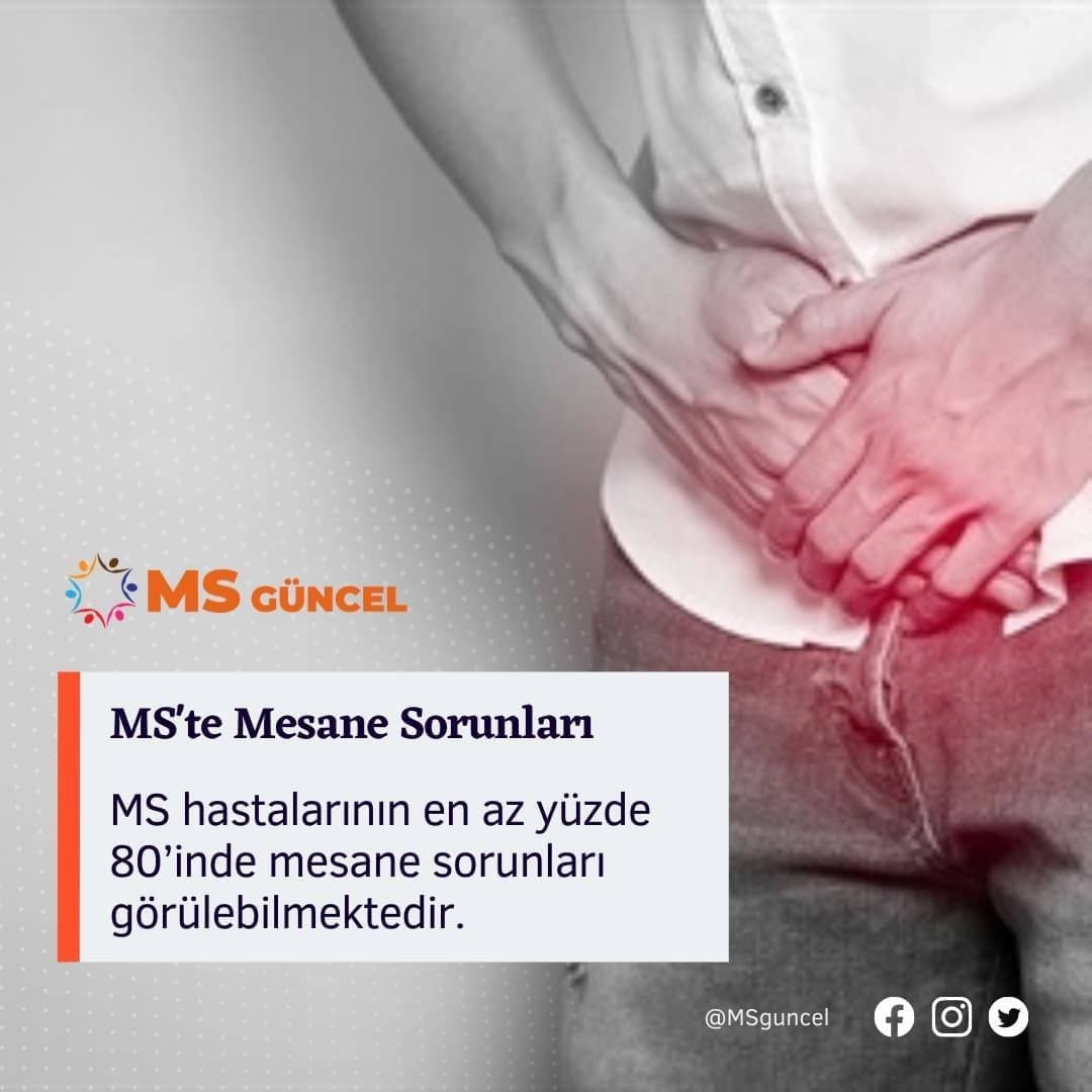 MS'te Mesane Sorunları