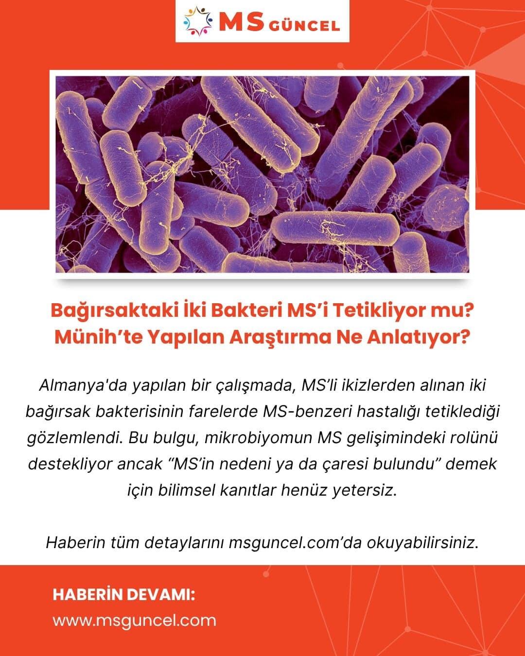 Bağırsaktaki İki Bakteri MS’i Tetikliyor mu? Münih’te Yapılan Araştırma Ne Anlatıyor?