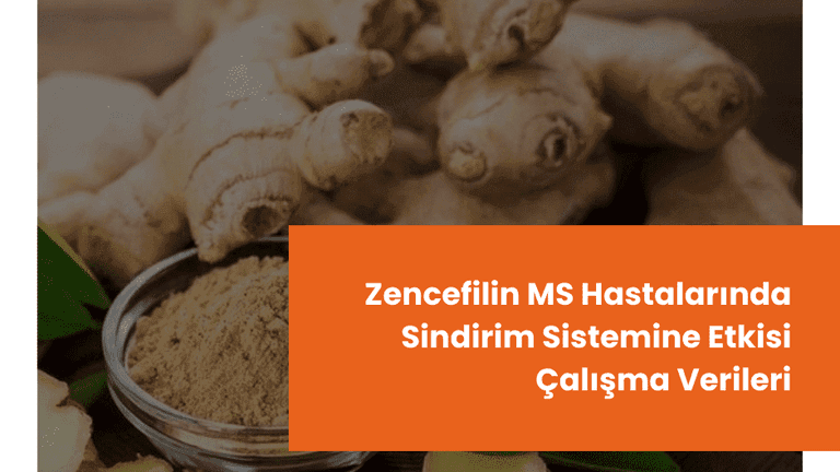 Zencefilin MS Hastalarında Sindirim Sistemine Etkisi: Çalışma Verileri
