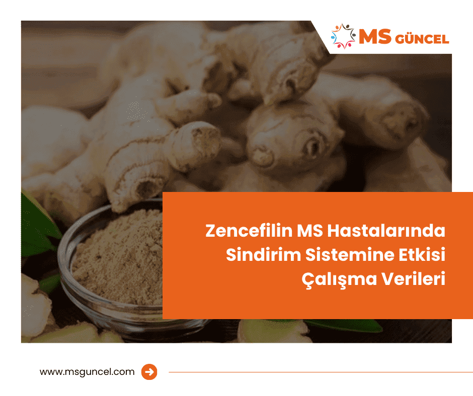 Zencefilin MS Hastalarında Sindirim Sistemine Etkisi: Çalışma Verileri