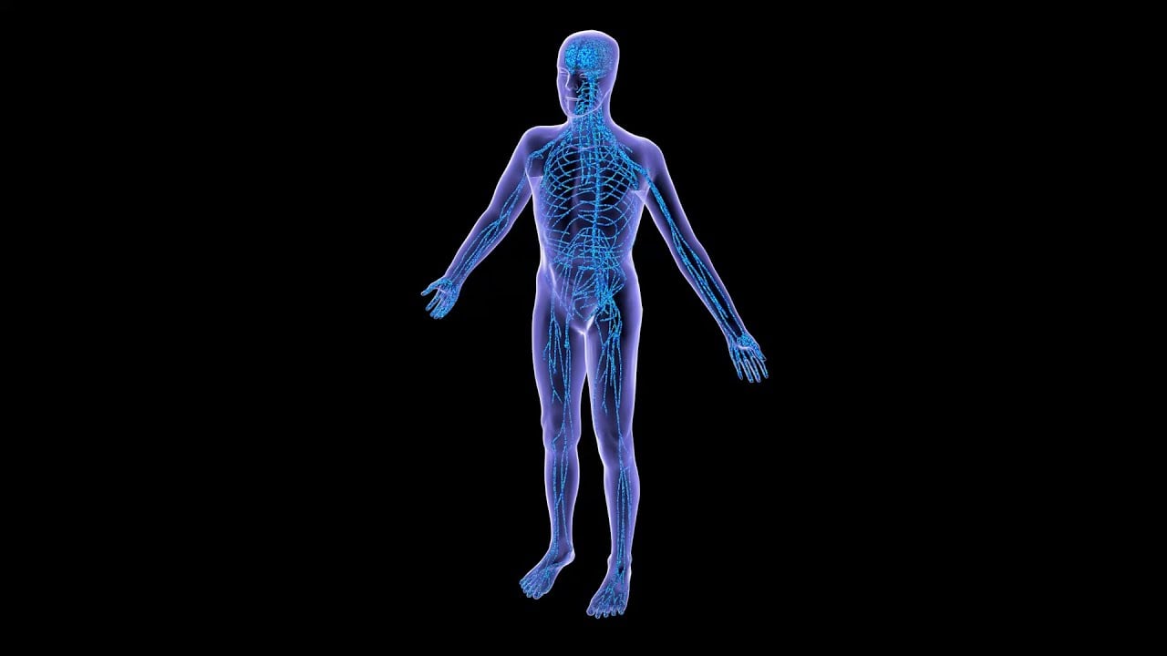 Successfully Repairing Severe Spinal Cord Injuries: How It Works