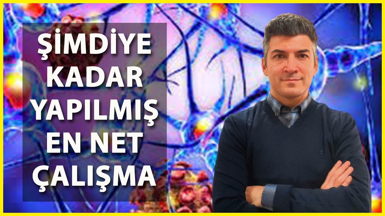 Amerikan Ordusunun 20 Yıllık Araştırması: Öpücük Hastalığı Virüsü, MS Riskini 32 Kat Artırıyor