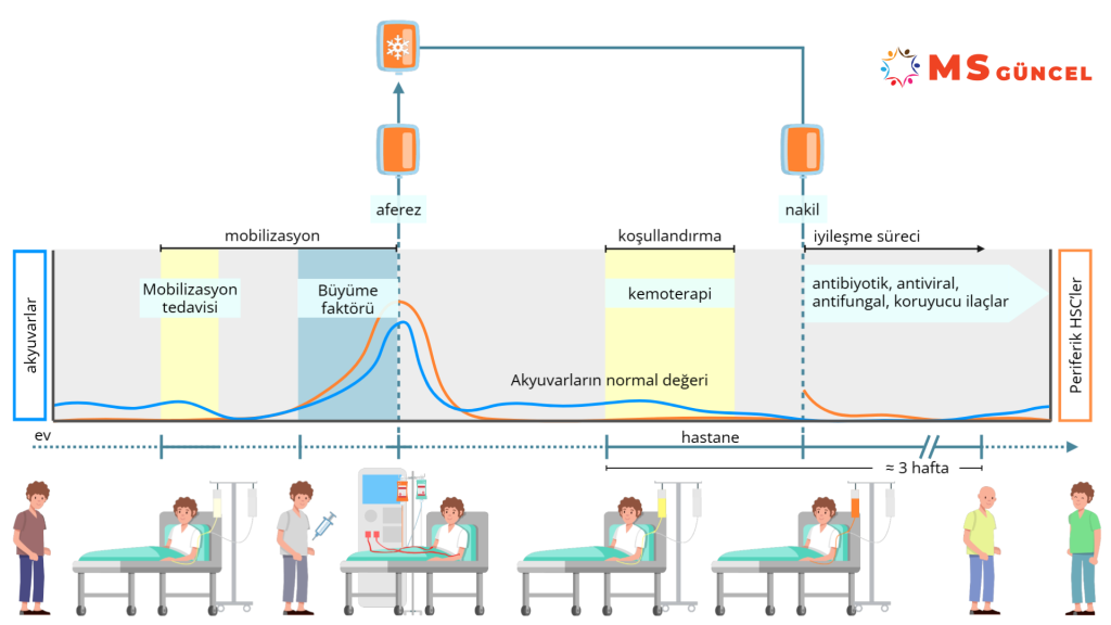Multipl Skleroz tedavisinde uygulanan AHSCT (Otolog Hematopoetik Kök Hücre Nakli) tedavisinin prosedürünü açıklayan görsel.